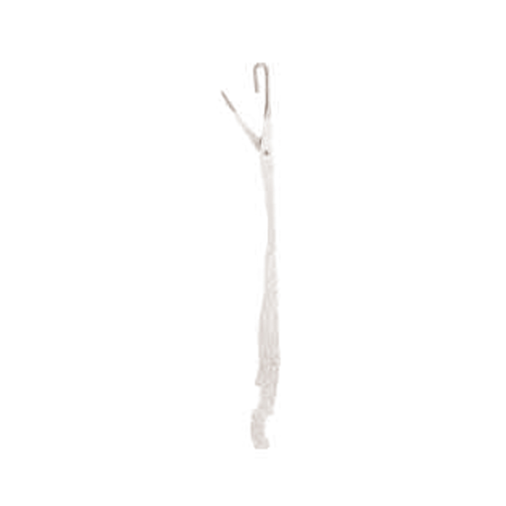 Needle 