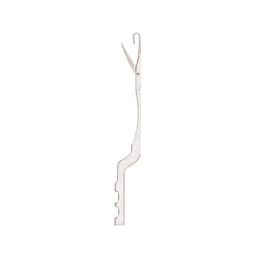 Needle 